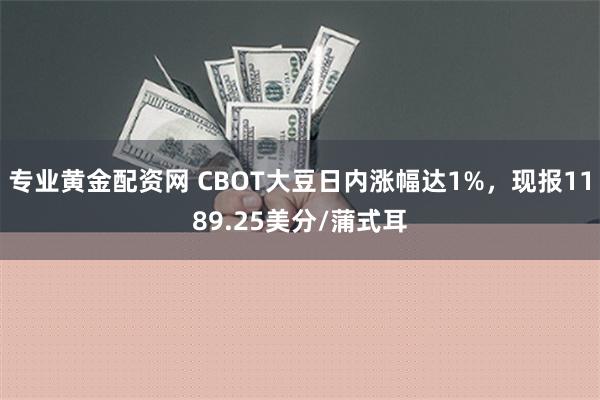 专业黄金配资网 CBOT大豆日内涨幅达1%，现报1189.25美分/蒲式耳