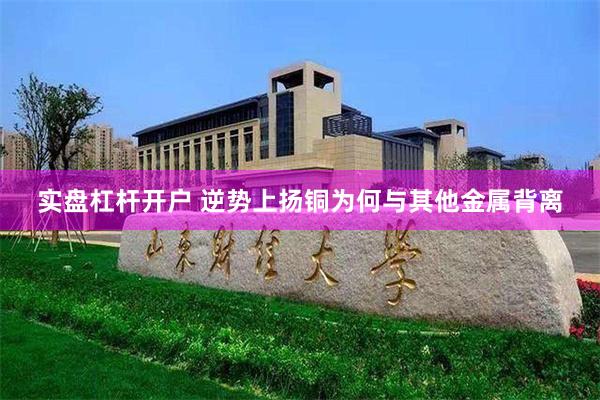 实盘杠杆开户 逆势上扬铜为何与其他金属背离