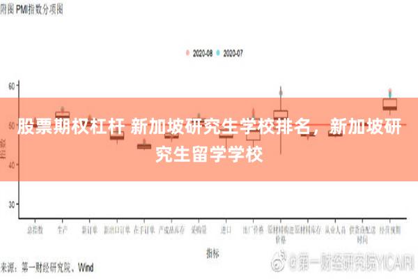 股票期权杠杆 新加坡研究生学校排名，新加坡研究生留学学校