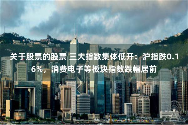 关于股票的股票 三大指数集体低开：沪指跌0.16%，消费电子等板块指数跌幅居前