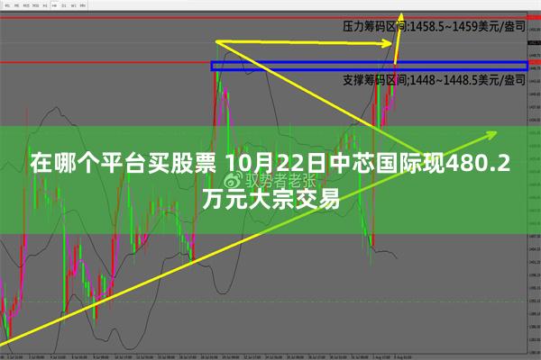 在哪个平台买股票 10月22日中芯国际现480.2万元大宗交易