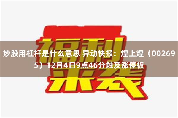 炒股用杠杆是什么意思 异动快报：煌上煌（002695）12月4日9点46分触及涨停板