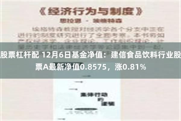 股票杠杆配 12月6日基金净值：建信食品饮料行业股票A最新净值0.8575，涨0.81%