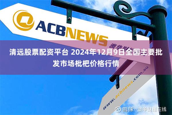 清远股票配资平台 2024年12月9日全国主要批发市场枇杷价格行情